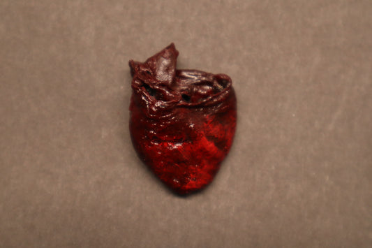 Dry Preserved Raccoon Heart