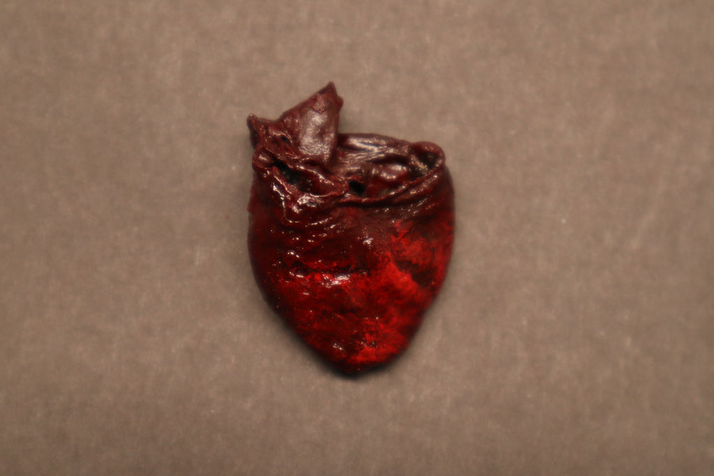 Dry Preserved Raccoon Heart