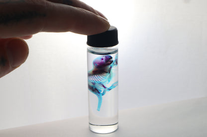 Diaphonized Baby Mouse