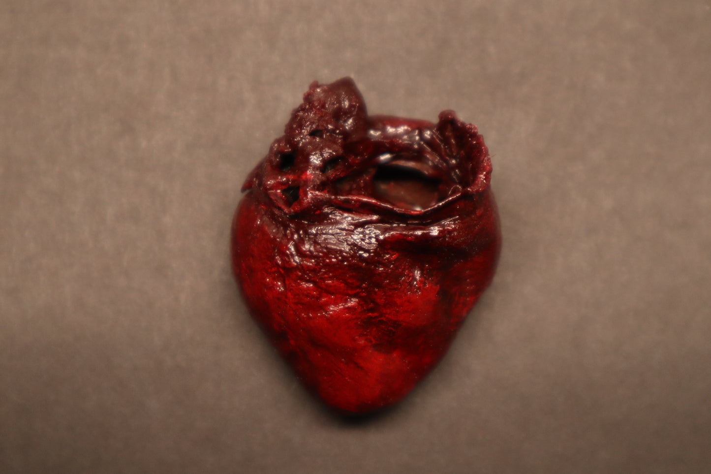 Dry Preserved Raccoon Heart