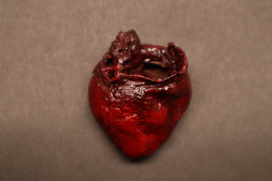 Dry Preserved Raccoon Heart