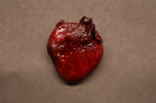 Dry Preserved Raccoon Heart