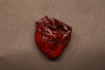 Dry Preserved Raccoon Heart
