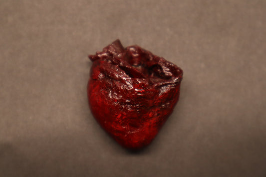 Dry Preserved Raccoon Heart