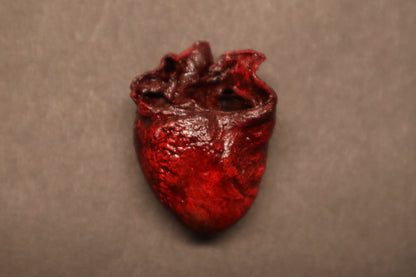 Dry Preserved Raccoon Heart