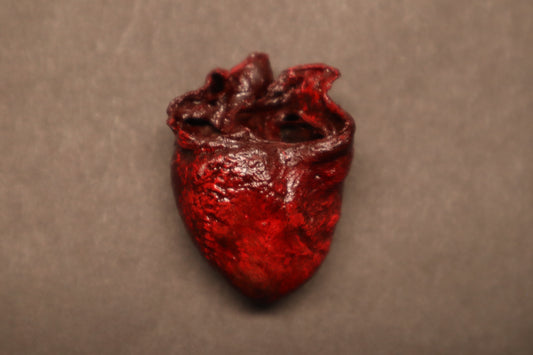 Dry Preserved Raccoon Heart