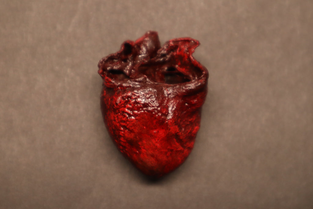 Dry Preserved Raccoon Heart
