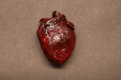 Dry Preserved Raccoon Heart