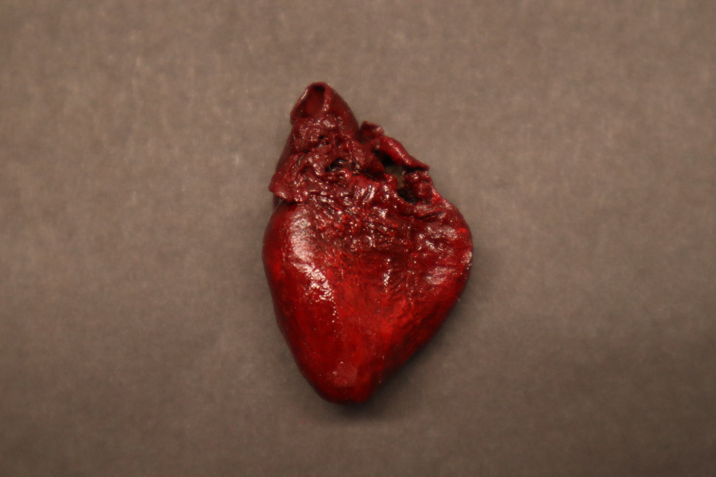 Dry Preserved Raccoon Heart