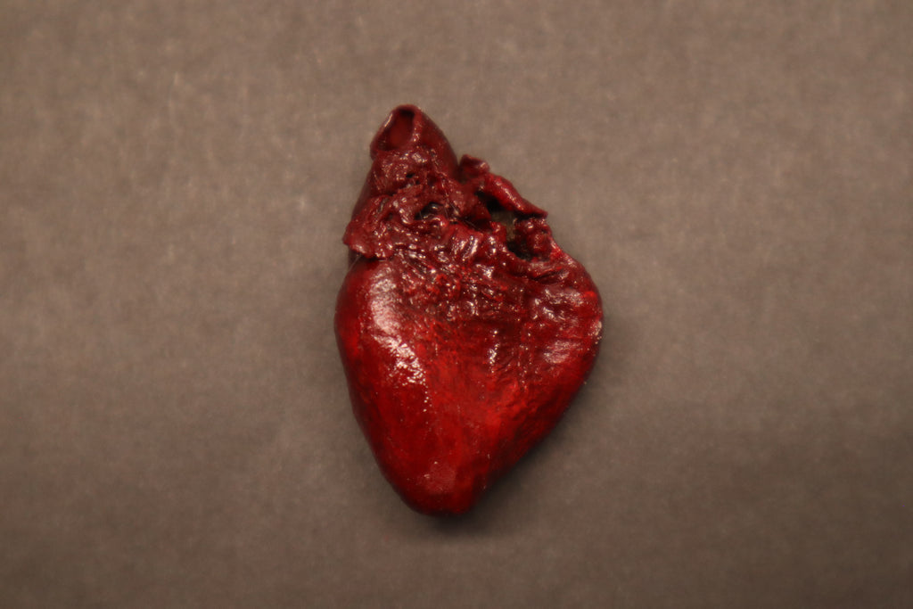 Dry Preserved Raccoon Heart