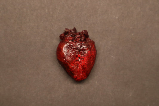 Dry Preserved Raccoon Heart