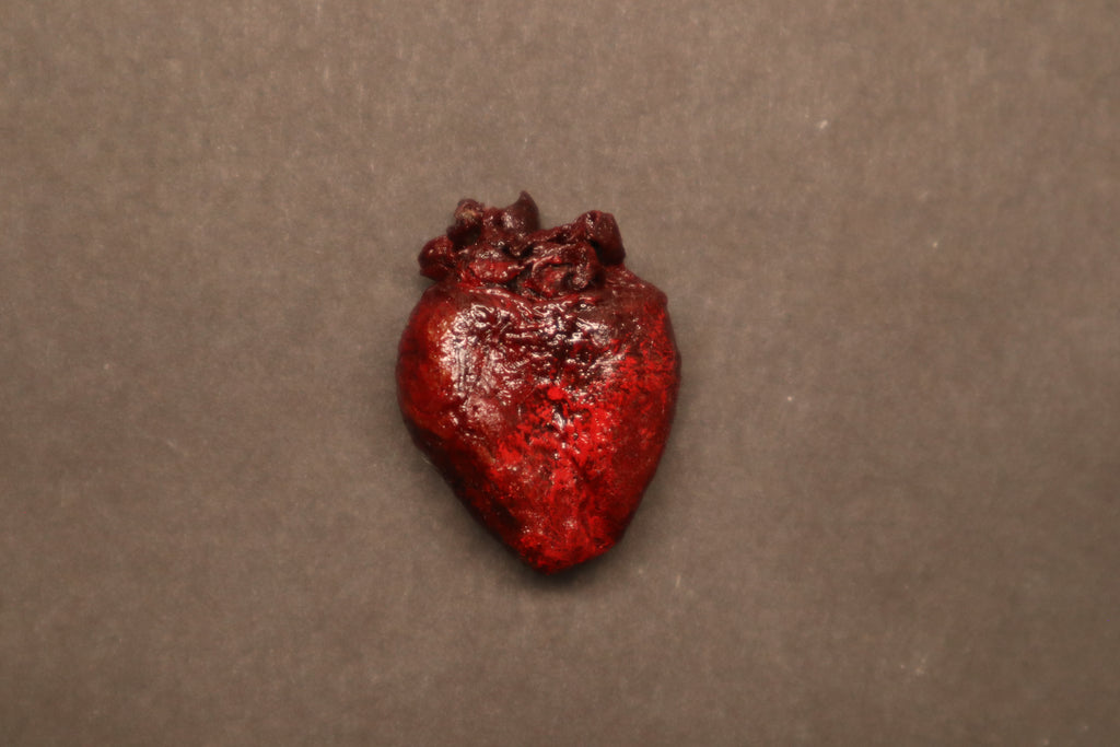 Dry Preserved Raccoon Heart