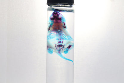 Diaphonized Baby Mouse
