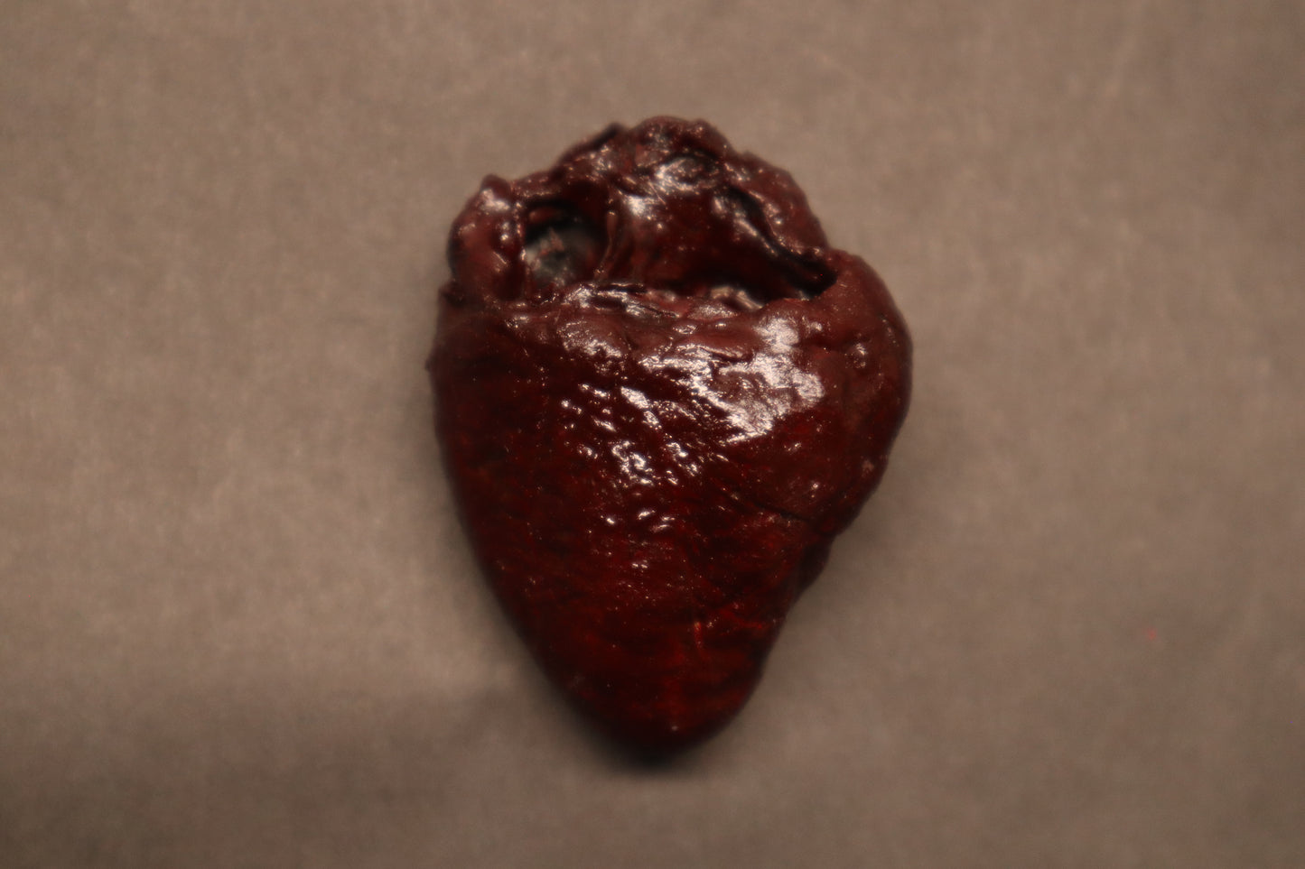 Dry Preserved Bobcat Heart