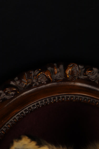 Taxidermy Red Fox in Ornate Frame