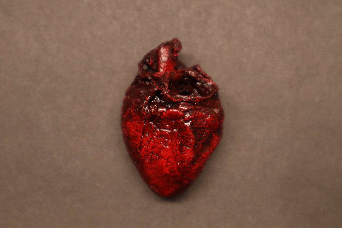 Dry Preserved Bobcat Kitten Heart
