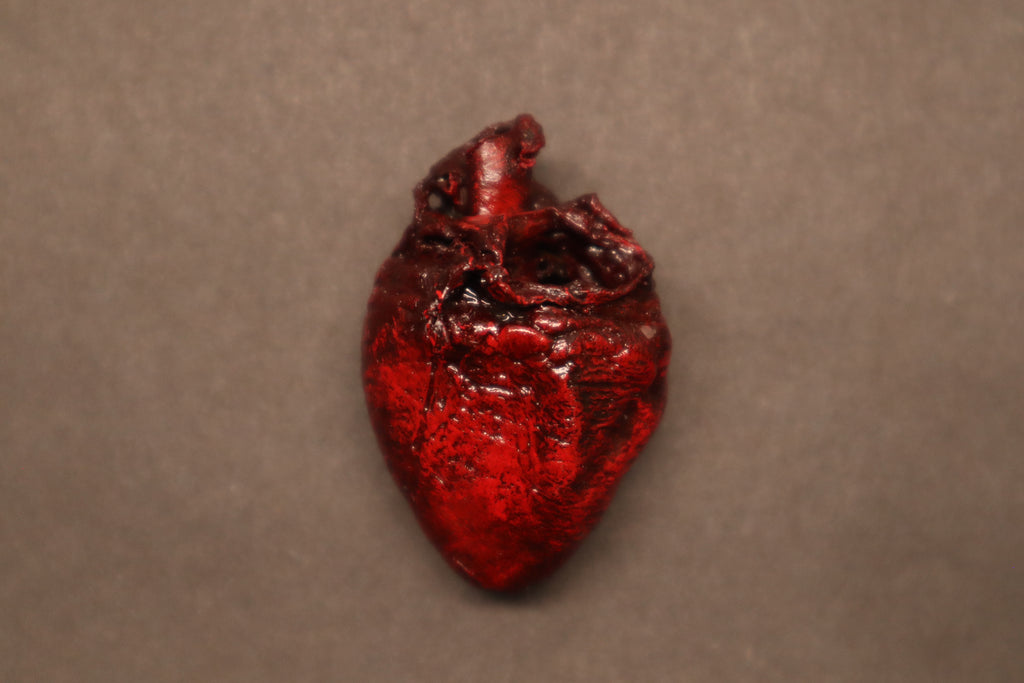 Dry Preserved Bobcat Kitten Heart