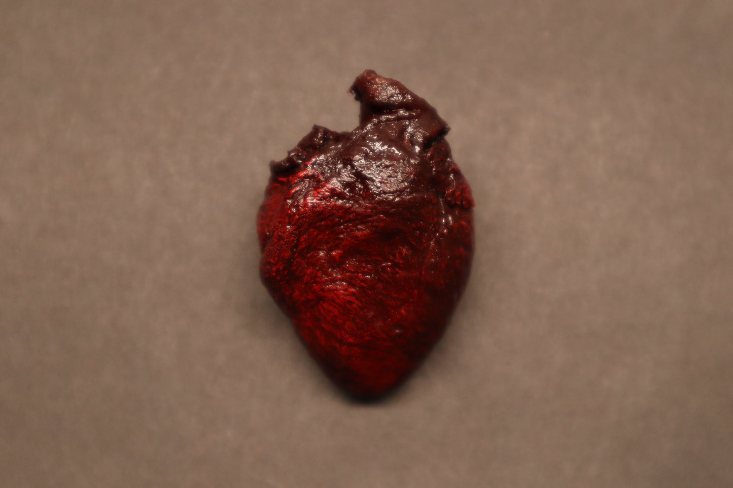 Dry Preserved Bobcat Kitten Heart