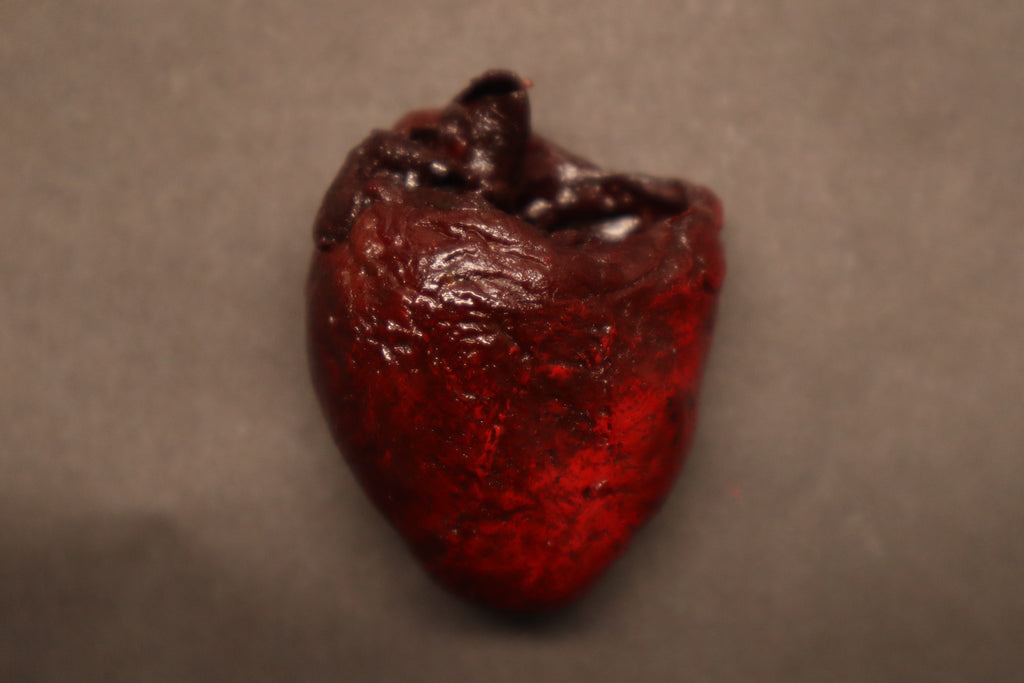 Dry Preserved Bobcat Heart