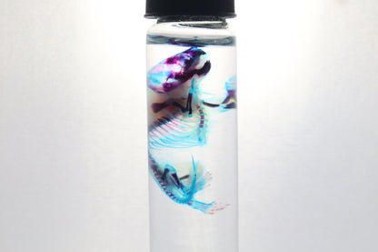 Diaphonized Baby Mouse