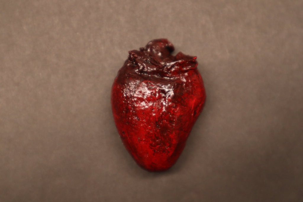 Dry Preserved Bobcat Heart
