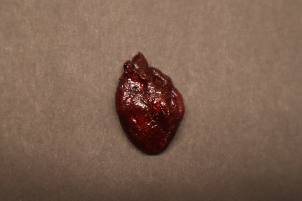 Dry Preserved Kitten Heart