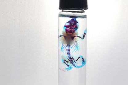 Diaphonized Baby Mouse