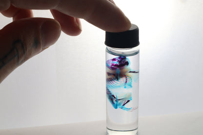 Diaphonized Baby Mouse