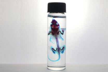 Diaphonized Baby Mouse