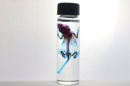 Diaphonized Baby Mouse