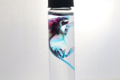 Diaphonized Baby Mouse