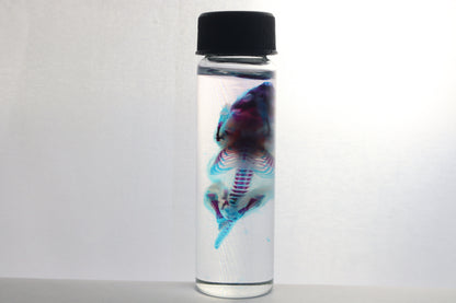 Diaphonized Baby Mouse
