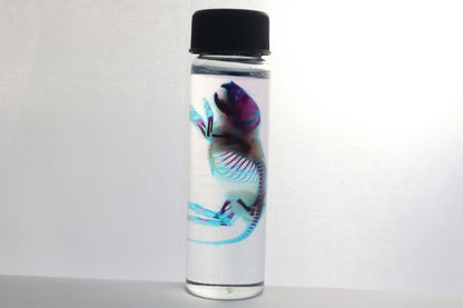 Diaphonized Baby Mouse