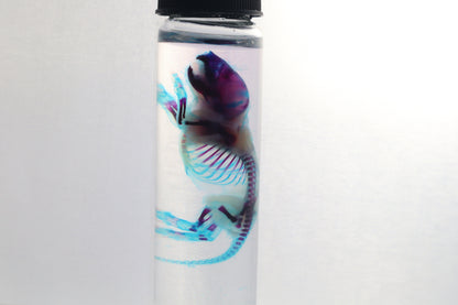 Diaphonized Baby Mouse