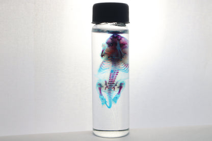 Diaphonized Baby Mouse