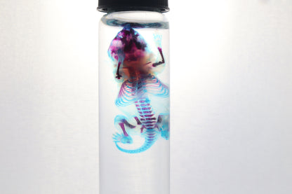 Diaphonized Baby Mouse