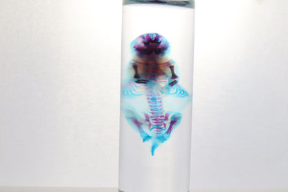Diaphonized Baby Mouse