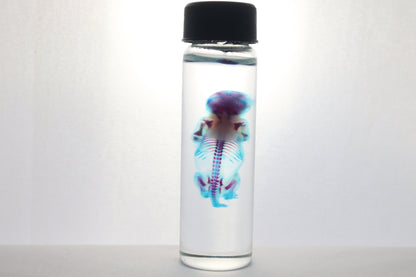 Diaphonized Baby Mouse
