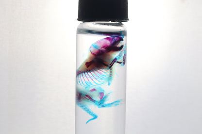 Diaphonized Baby Mouse