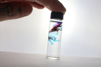 Diaphonized Baby Mouse