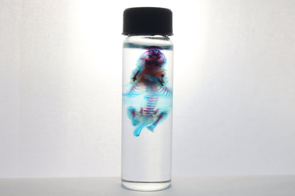 Diaphonized Baby Mouse
