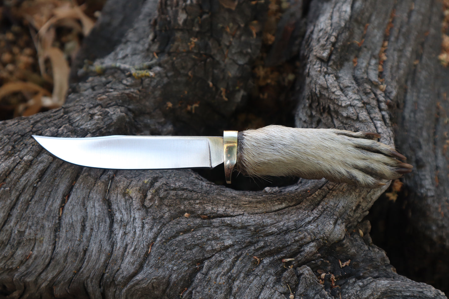 Raccoon Paw Knife