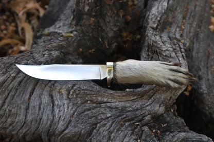 Raccoon Paw Knife