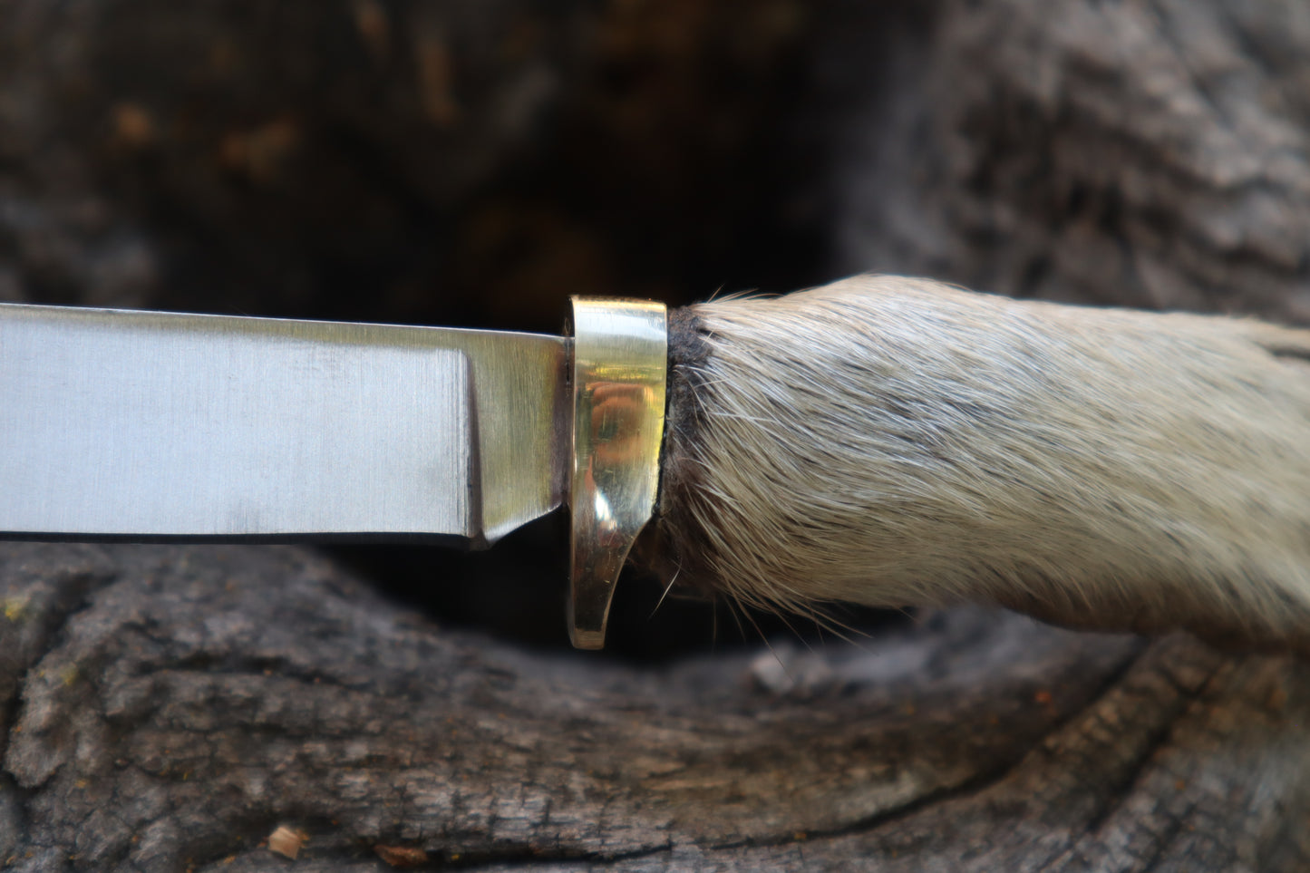 Raccoon Paw Knife