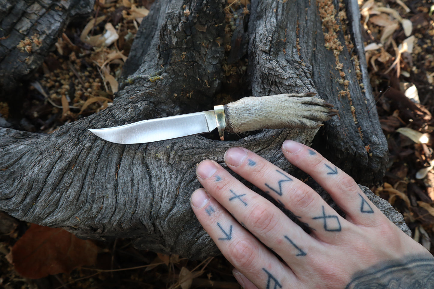 Raccoon Paw Knife