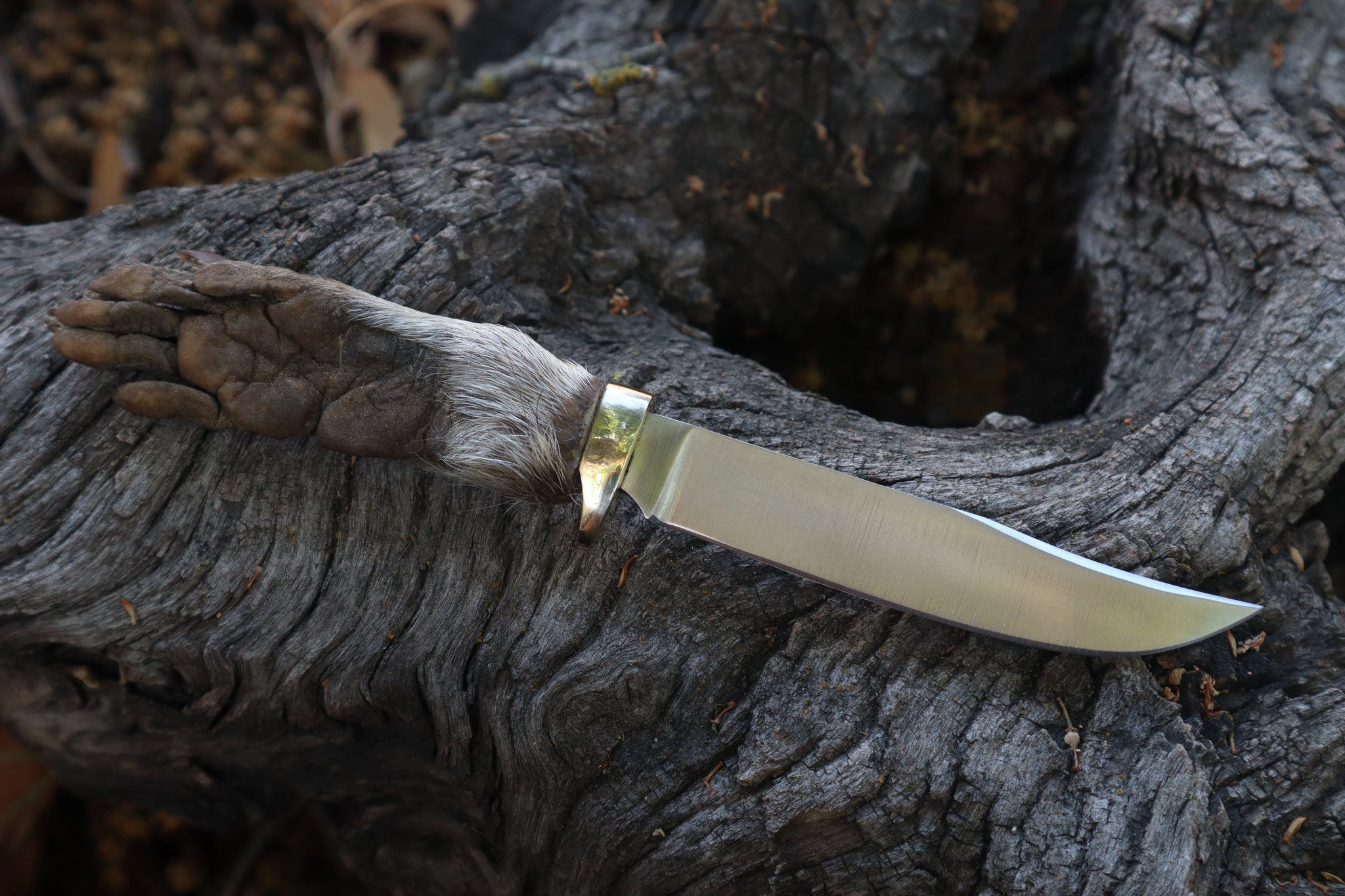 Raccoon Paw Knife