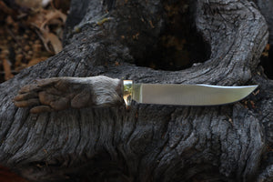 Raccoon Paw Knife