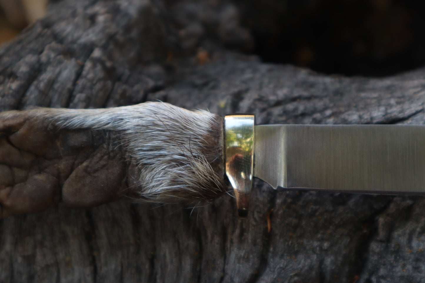 Raccoon Paw Knife