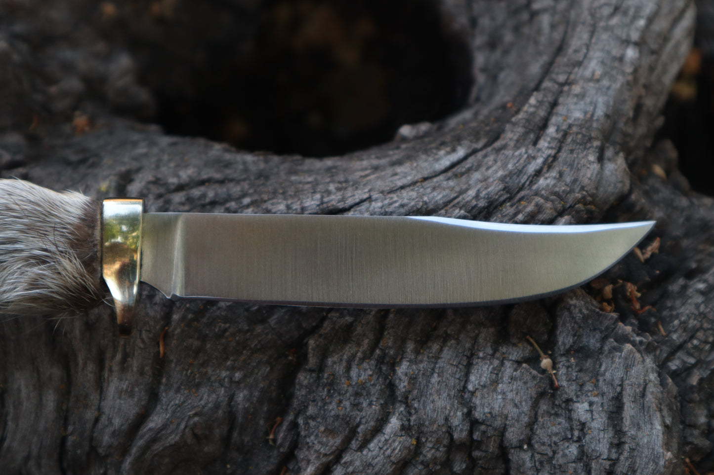Raccoon Paw Knife
