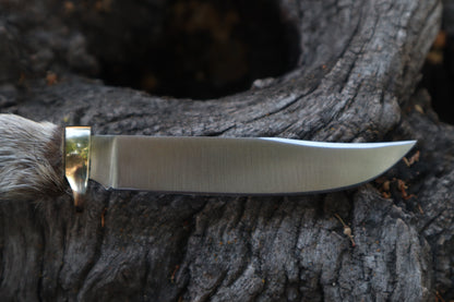Raccoon Paw Knife